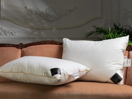 Подушка Trois Couronnes Clima Night Goose Down Pillow 93